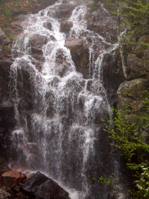 [Low stream waterfall cast about a wide, dark-colored rock spread making it appear like lace strung across the rocks.]